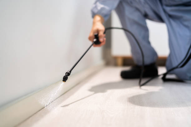 Licensed Rodent Control service in East Riverdale, MD - Nex Pest Control