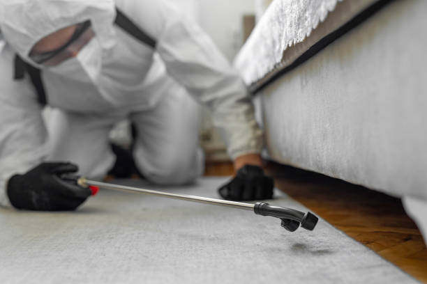 Professional Rodent Control technician working in East Riverdale, MD