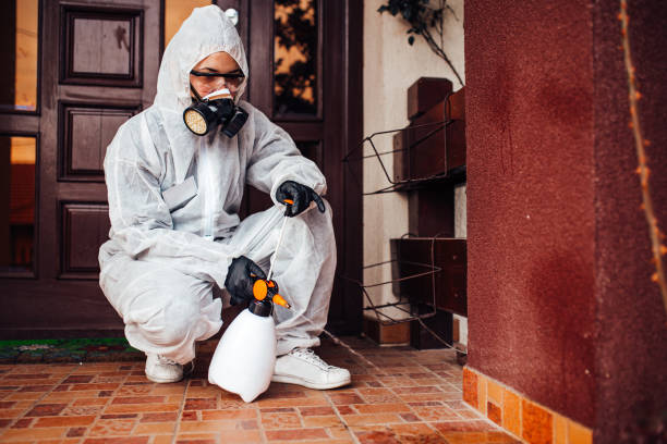 Reliable Rodent Control contractor in East Riverdale, MD by Nex Pest Control