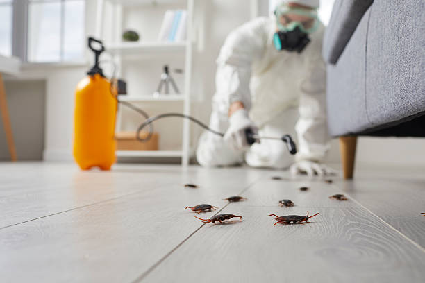 Trusted Rodent Control service in East Riverdale, MD - Nex Pest Control